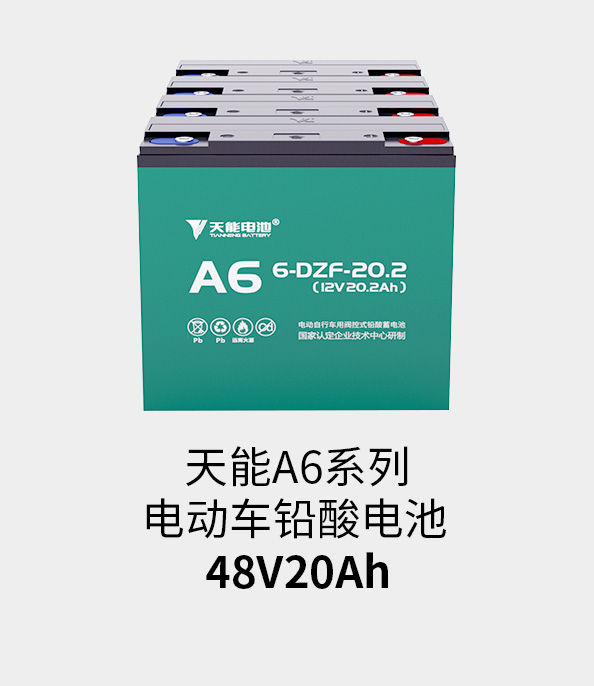 九游老哥J9俱乐部电池48v20ah