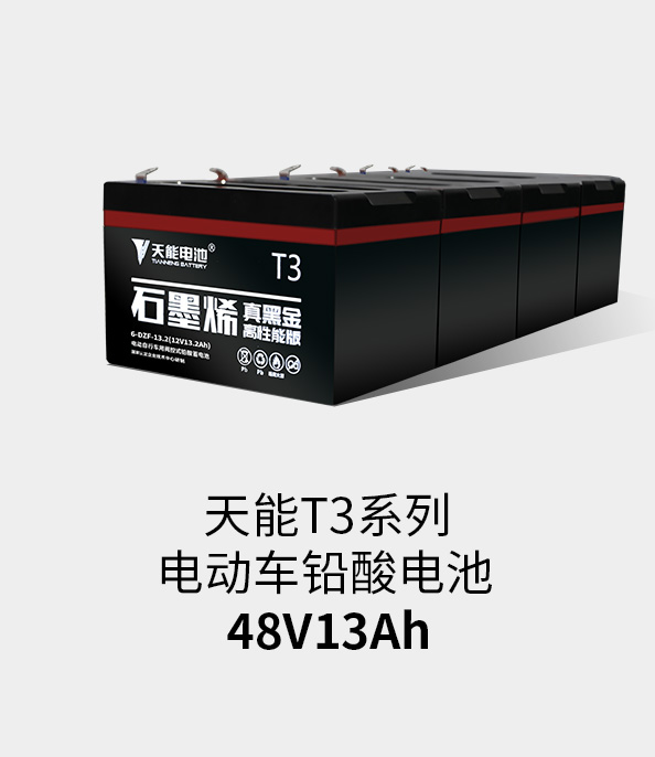 九游老哥J9俱乐部T3系列48v13ah